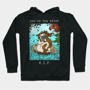 dog water 03 Hoodie